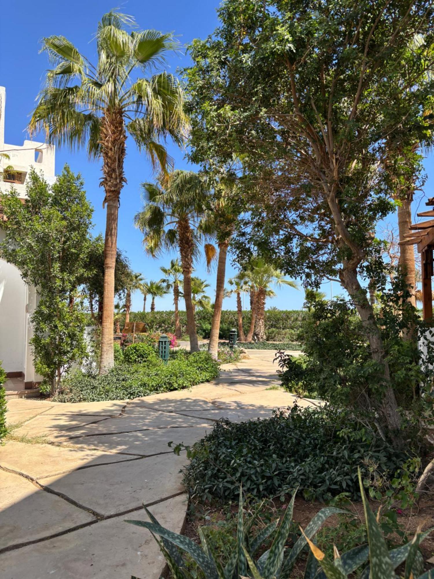Deltastar Διαμέρισμα Σαρμ Ελ Σέιχ Εξωτερικό φωτογραφία